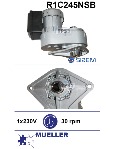 Motoréducteur R1C245NSB 32tr/min Mueller