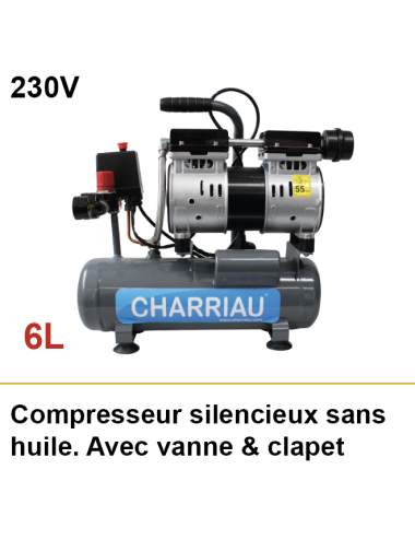 Compresseur sans huile 6L