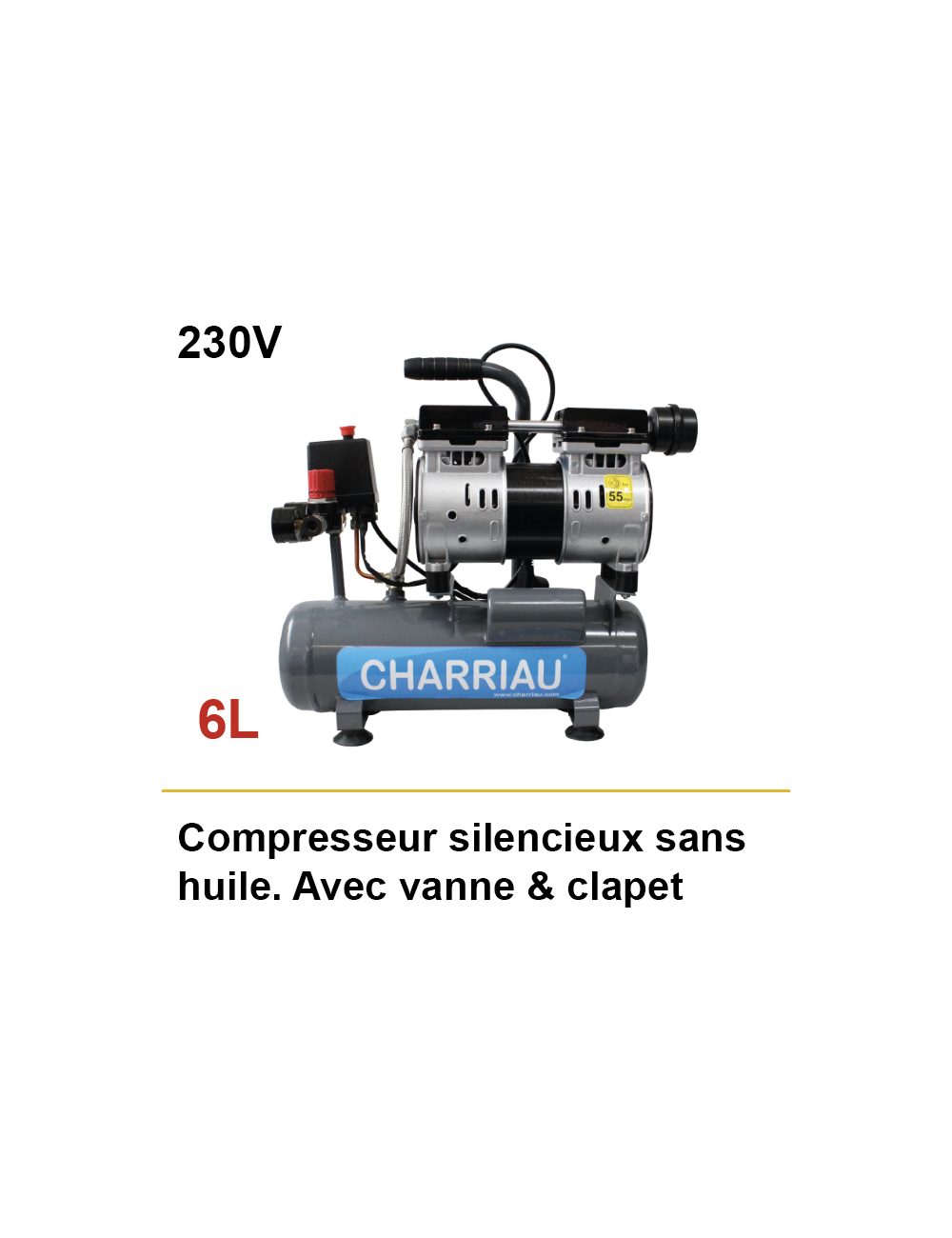 Compresseur sans huile 6L Compresseur sans huile 6L