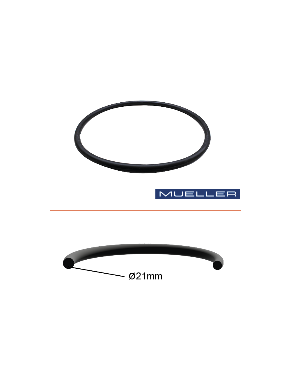 Joint de trou d’homme Mueller