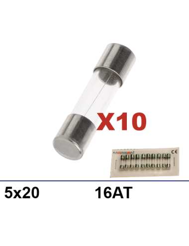 Boite 10 fusibles 5x20 16A