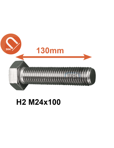 Vis inox A2 M24x100 (pied  CH101)