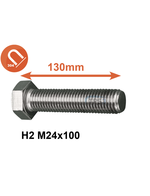 Vis inox A2 M24x100 (pied  CH101)
