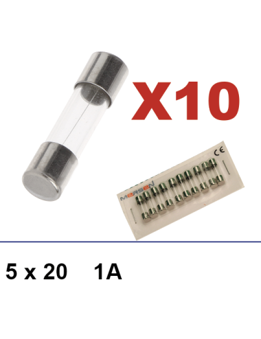 Caja de 10 fusibles 5x20 1A