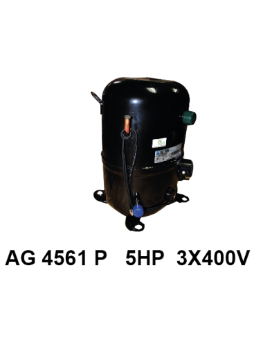 Compresseur UH AG4561P 5 ch
