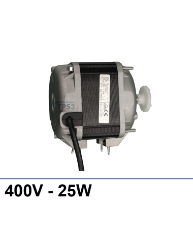 Moteur 25W 400V