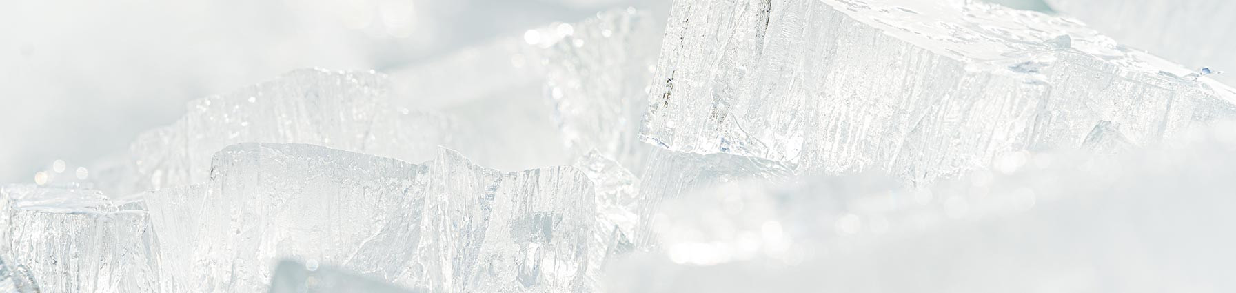 Froid