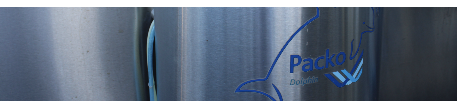 PACKO Dolphin